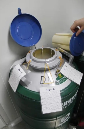 大口徑液氮罐 大口徑液氮罐