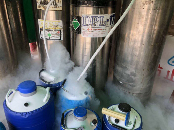 液氮回收 液氮回收